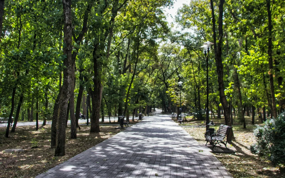 A broad tree-lined walking path with park benches; illustrative stock photo